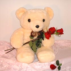 3 g�l ve oyuncak ayicik   Ankara �i�ek , �i�ek�i , �i�ek�ilik 