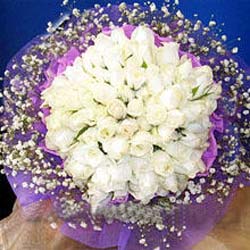 71 adet beyaz g�l buketi   Ankara �i�ek , �i�ek�i , �i�ek�ilik 