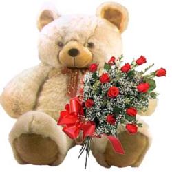 kocaman ayicik ve 10 g�l   Ankara �i�ek , �i�ek�i , �i�ek�ilik 