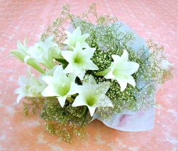 lilyum demeti 3 adet lilyum  Ankara kaliteli taze ve ucuz �i�ekler 