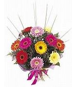 karisik gerbera �i�ekleri  Ankara demetevler �i�ek sipari�i �i�ek yolla 
