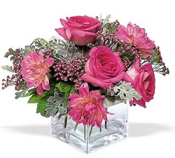  Ankara cicekciler , demetevler cicek siparisi  cam i�erisinde 5 g�l 7 gerbera �i�egi