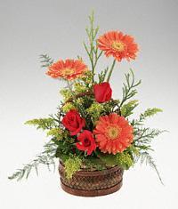 Ankara cicekciler , demetevler cicek siparisi  sepet i�erisinde 3 g�l ve 3 gerbera tanzimi