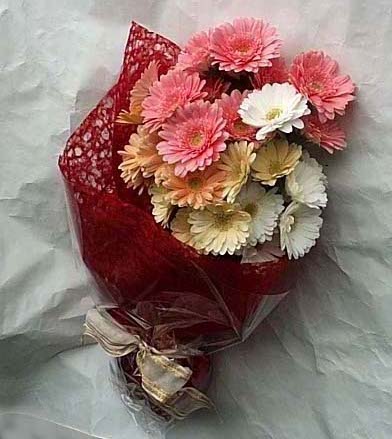 19 adet karisik gerbera buketi  Ankara demetevler cicek , cicekci 