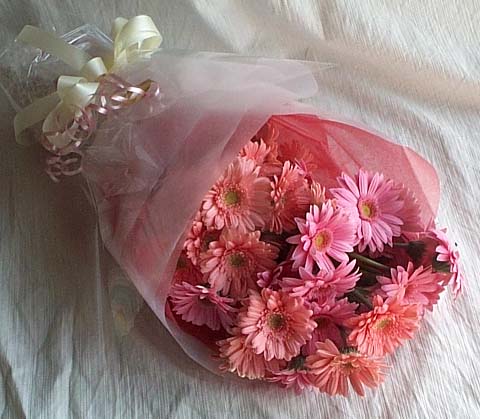 17 adet gerbera buketi  Ankara demetevler cicek , cicekci 
