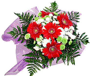 gerbera ve krizantem demeti  Ankara demetevler �i�ek�i ma�azas� 