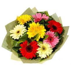 9 adet karisik gerbera demeti  Ankara ucuz �i�ek g�nder �i�ek ma�azas� , �i�ek�i adresleri 