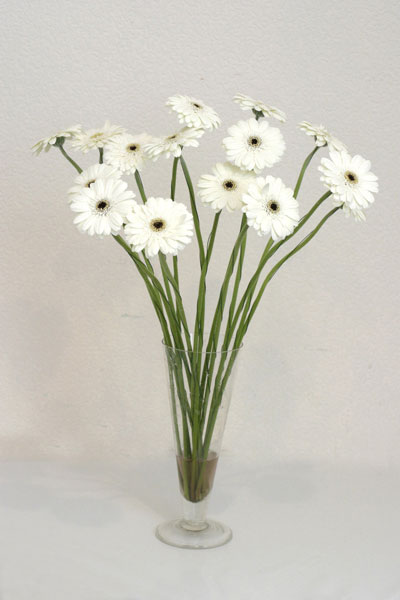  Ankara ucuz �i�ek g�nder �i�ek ma�azas� , �i�ek�i adresleri  cam vazo i�erisinde 17 adet sade gerbera