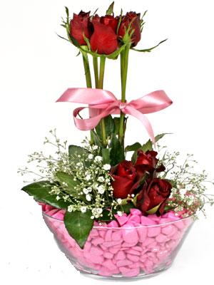  Demetevler Ankara İnternetten çiçek siparişi  SEVIYORUM DIYENLER 7 kirmizi gül tanzim 