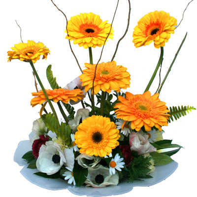 camda gerbera ve mis kokulu kir �i�ekleri  Ankara demetevler �i�ek yolla �i�ek�i telefonlar� 