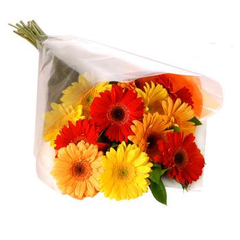 Karisik renklerde gerbera buketi  Ankara cicekciler , demetevler cicek siparisi 