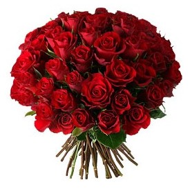  Ankara �i�ek , �i�ek�i , �i�ek�ilik  33 adet k�rm�z� g�l buketi