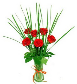  Ankara �i�ek , �i�ek�i , �i�ek�ilik  6 adet k�rm�z� g�llerden vazo �i�e�i