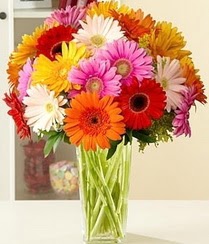  Ankara demetevler �i�ek servisi , �i�ek�i adresleri  15 adet gerbera �i�ek vazosu