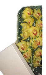  Ankara demet �i�ek g�nderme  Kutu i�erisine dal cymbidium orkide