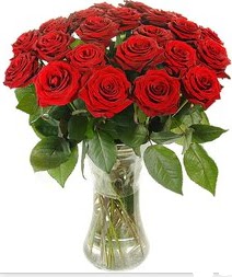  Ankara ucuz �i�ek g�nder �i�ek ma�azas� , �i�ek�i adresleri  Vazoda 15 adet k�rm�z� g�l tanzimi