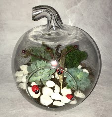 K���k terrarium elma 3 kakt�s  Ankara ucuz �i�ek g�nder �i�ek ma�azas� , �i�ek�i adresleri 