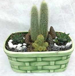 Seramik i�erisinde 5 kakt�sl� terrarium  Ankara �i�ek g�nderme sitemiz g�venlidir 