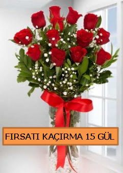  15 İthal kırmızı gül büyük başlı orjinal  Ankara demetevler çiçek gönderme çiçek siparişi sitesi 