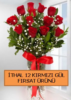  �thal k�rm�z� 12 adet kaliteli g�l  demetevler �i�ek�i Ankara ucuz �i�ek g�nder 
