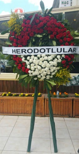 Cenaze elengi cenazeye iek modeli  Ankara demetevler iek sat 