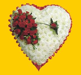  demetevler Ankara �i�ek yolla , �i�ek g�nder , �i�ek�i   1.20m x 1.20m  Gerbera G�ller