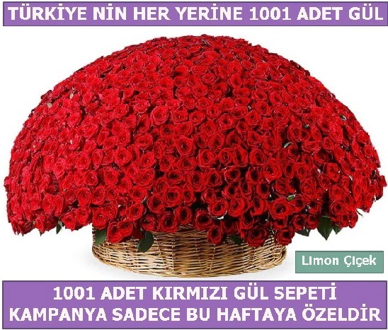 1001 Adet krmz gl Bu haftaya zel  Demetevler Ankara nternetten iek siparii 