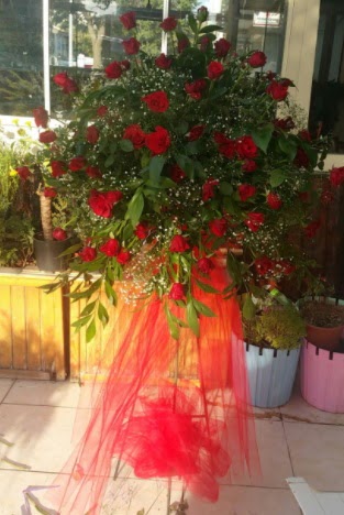 71 adet k�rm�z� g�lden ferf�rje �i�e�i  Ankara demetevler �i�ek sat��� 