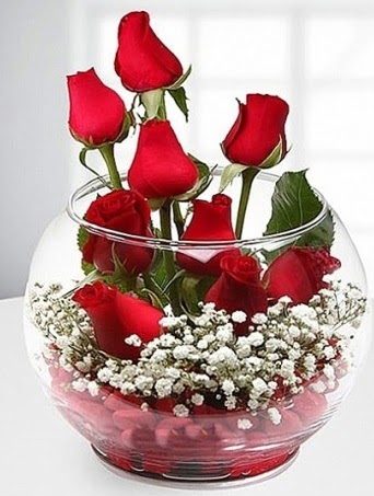 Kırmızı Mutluluk fanusta 9 kırmızı gül  Ankara demetevler çiçek gönderme çiçek siparişi sitesi 
