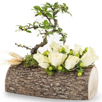 Do�al k�t�kte bonsai a�ac� ve 7 beyaz g�l  Ankara �i�ek g�nderme sitemiz g�venlidir 