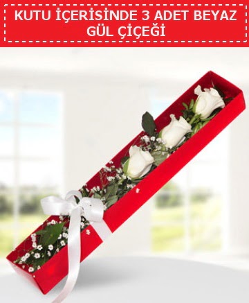Kutu i�erisinde 3 adet beyaz g�l �i�e�i  Ankara demetevler cicek , cicekci 
