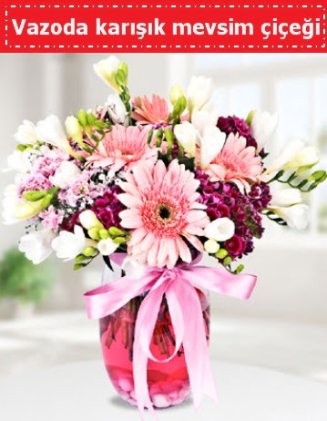 Vazoda kar���k mevsim �i�e�i  Ankara �i�ek , �i�ek�i , �i�ek�ilik 