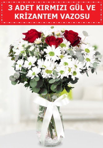 3 k�rm�z� g�l ve camda krizantem �i�ekleri  Ankara demet �i�ek g�nderme 