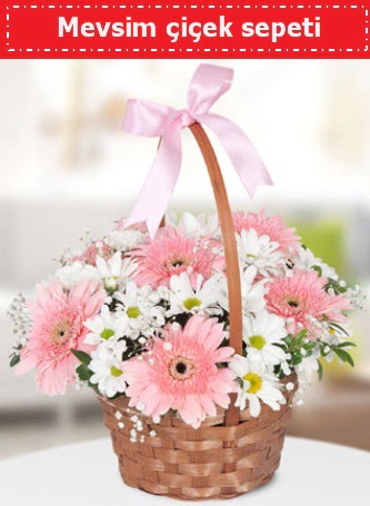 Mevsim k�r �i�ek sepeti  Ankara �i�ek , �i�ek�i , �i�ek�ilik 