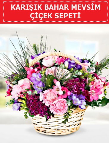 Kar���k mevsim bahar �i�ekleri  demetevler �i�ek�i Ankara ucuz �i�ek g�nder 