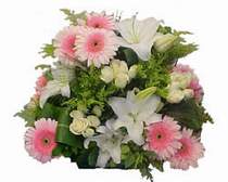  Ankara kaliteli taze ve ucuz �i�ekler  G�l kazablanka gerbera sepet �i�ek modeli