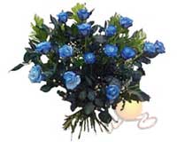  Ankara �i�ek , �i�ek�i , �i�ek�ilik  11 adet mavi g�l �zel tanzim