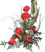  Ankara kaliteli taze ve ucuz �i�ekler  Kirmizi gerbera �zel tanzim