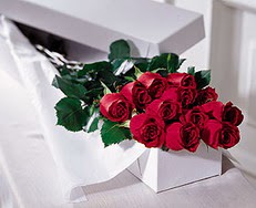  Ankara demetevler çiçek satışı  özel kutuda 12 adet gül