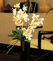  demetevler iek yolla Ankara iekiler  cam yada mika vazo ierisinde dal orkide