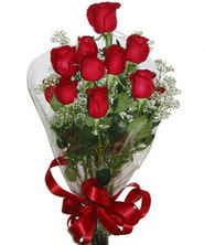 9 adet kaliteli kirmizi gül   Ankara online çiçek siparişi çiçekçi , çiçek siparişi 