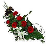 7 adet g�l ve kazablanka   demetevler �i�ek�i Ankara ucuz �i�ek g�nder 