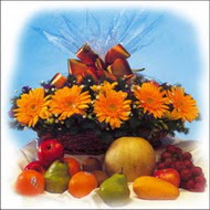 sepette gerbera ve meyvalar   Ankara demetevler �i�ek�i ma�azas� 
