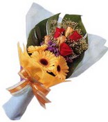g�ller ve gerbera �i�ekleri   Ankara �i�ek g�nderme sitemiz g�venlidir 