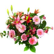 lilyum ve gerbera �i�ekleri - �i�ek se�imi -  Ankara demet �i�ek g�nderme 
