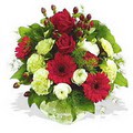 karanfil gerbera ve g�ller - d�s�nenelere �zel -  Ankara demet �i�ek g�nderme 