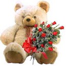 kocaman ayicik ve 10 g�l   Ankara �i�ek , �i�ek�i , �i�ek�ilik 