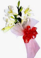  Ankara �i�ek , �i�ek�i , �i�ek�ilik  ince vazoda gerbera ve ayi