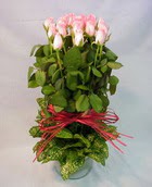 13 adet pembe g�l silindirde   Ankara demetevler �i�ek sipari�i �i�ek yolla 