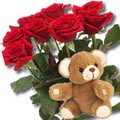 11 adet g�l ve ayicik buket   Ankara demetevler �i�ek sipari�i �i�ek yolla 
